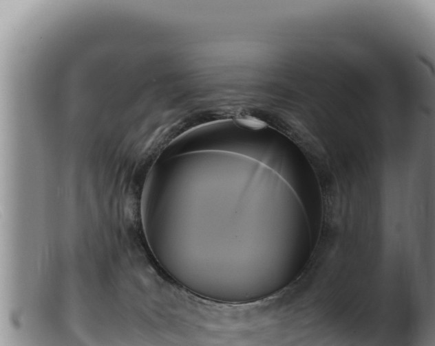 X0000099550035200805231202