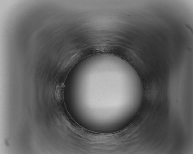 X0000099550036200805231202