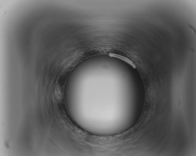 X0000099550037200805231202