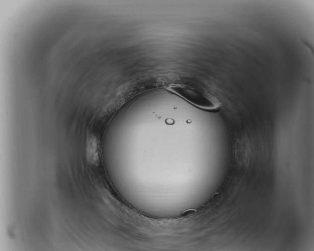 X0000099550038200805231202