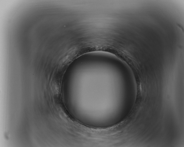 X0000099550039200805231202