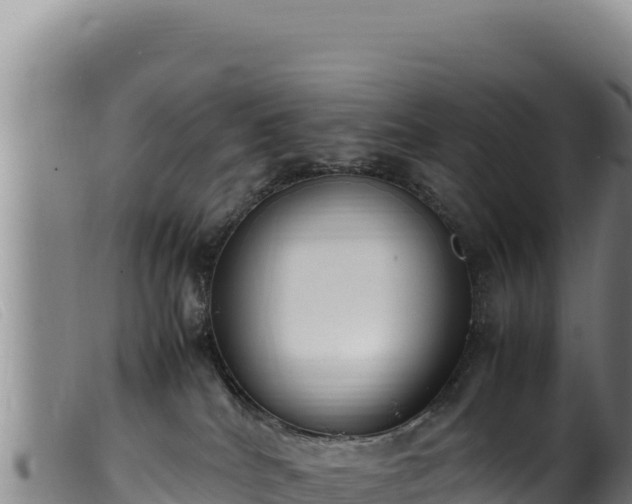 X0000099550040200805231202