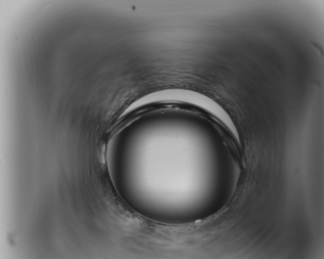 X0000099550041200805231202