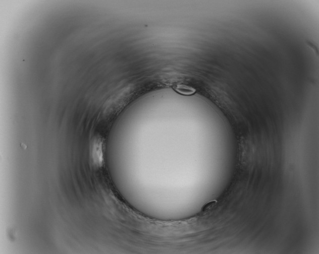 X0000099550042200805231202