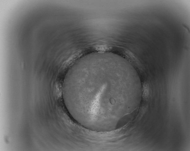 X0000099550043200805231202