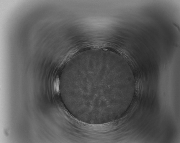 X0000099550046200805231202