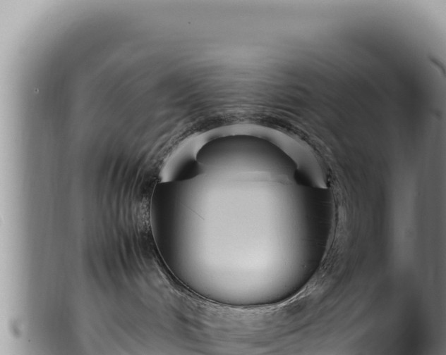 X0000099550048200805231202