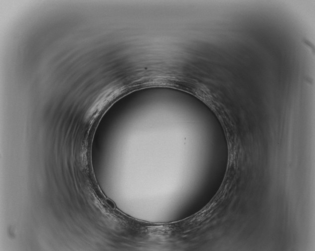 X0000099550050200805231201