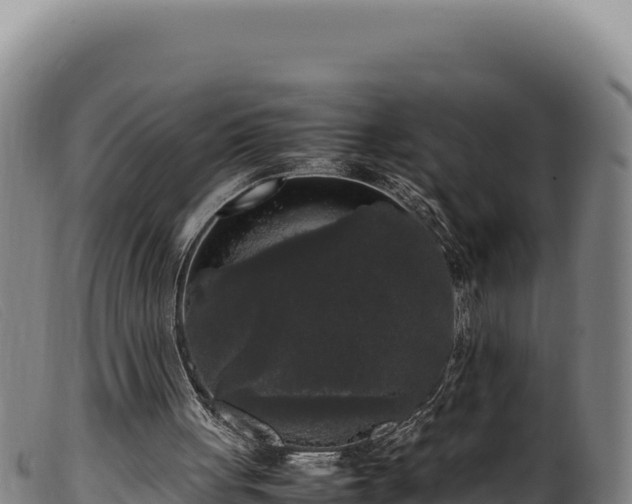 X0000099550051200805231201