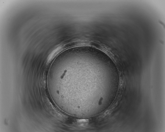 X0000099550053200805231201