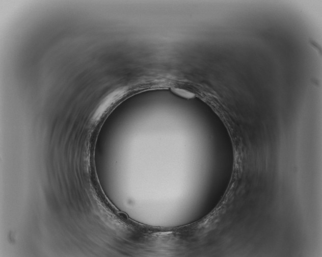 X0000099550054200805231201