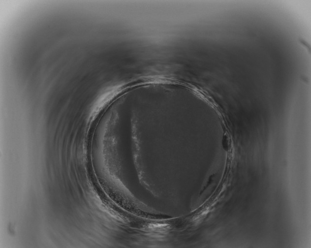 X0000099550055200805231201