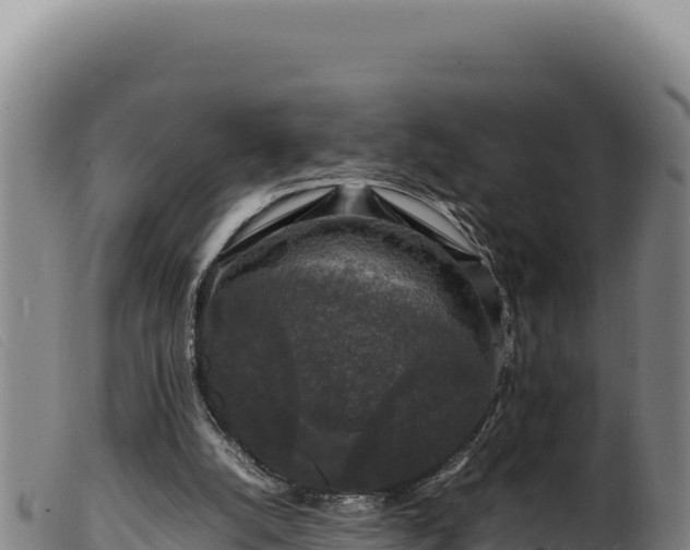 X0000099550056200805231201