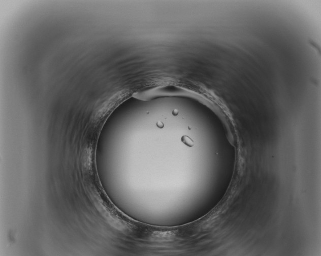 X0000099550057200805231201