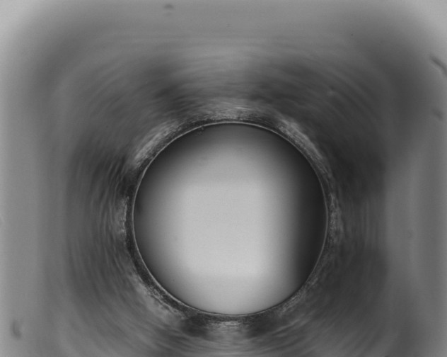 X0000099550058200805231201