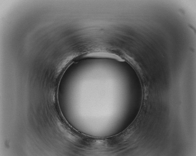 X0000099550060200805231201