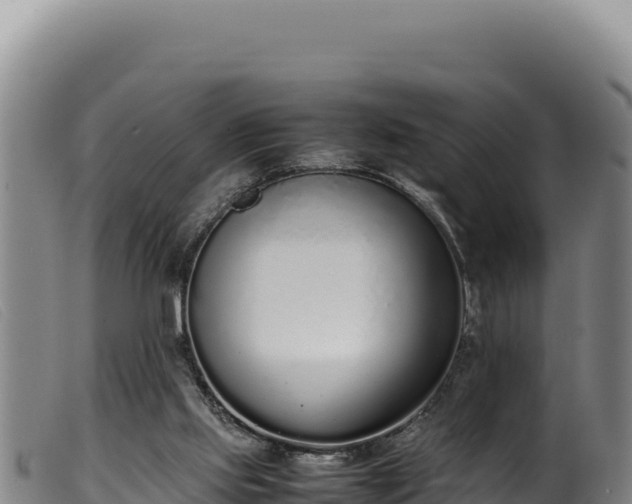 X0000099550061200805231201