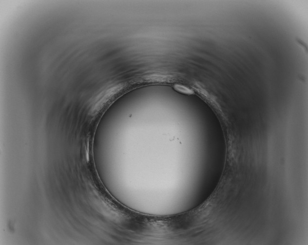 X0000099550062200805231201