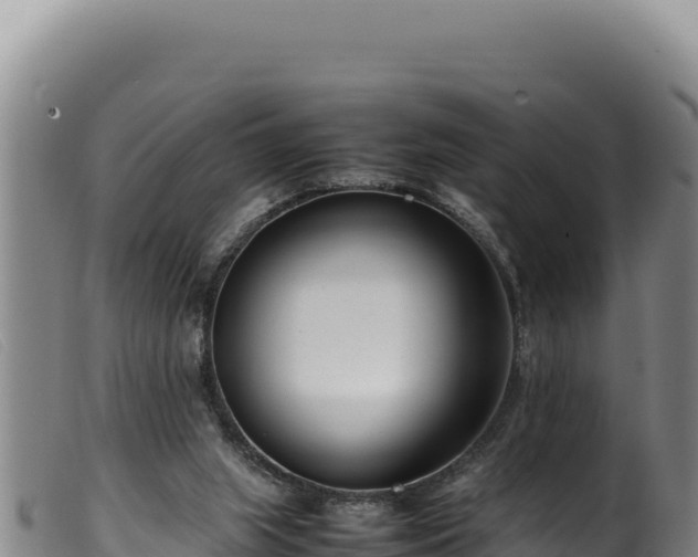 X0000099550063200805231201