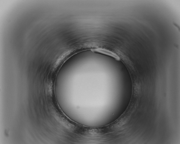 X0000099550064200805231201