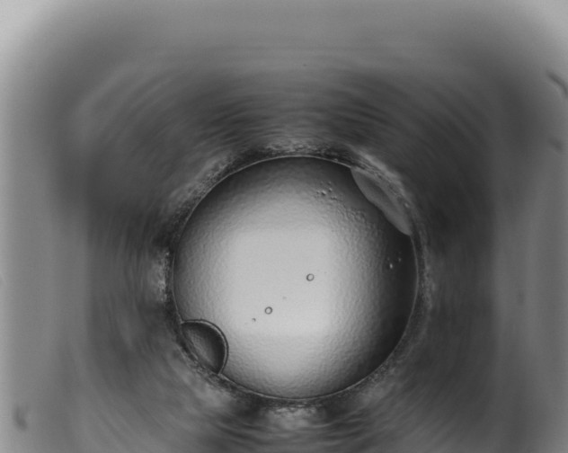 X0000099550065200805231201