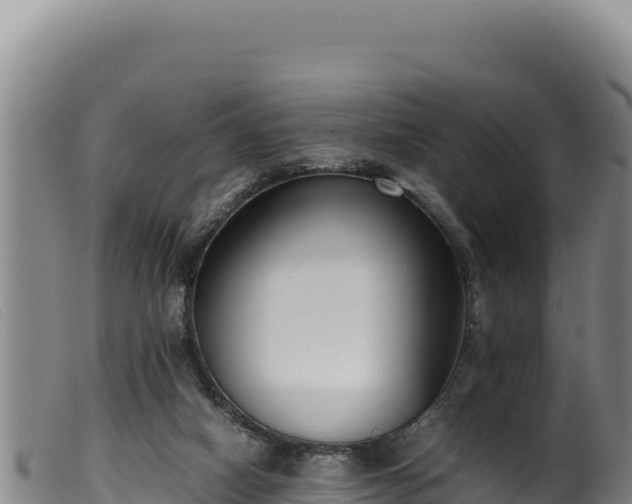 X0000099550066200805231201