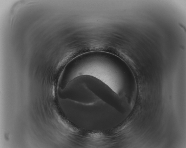 X0000099550067200805231201