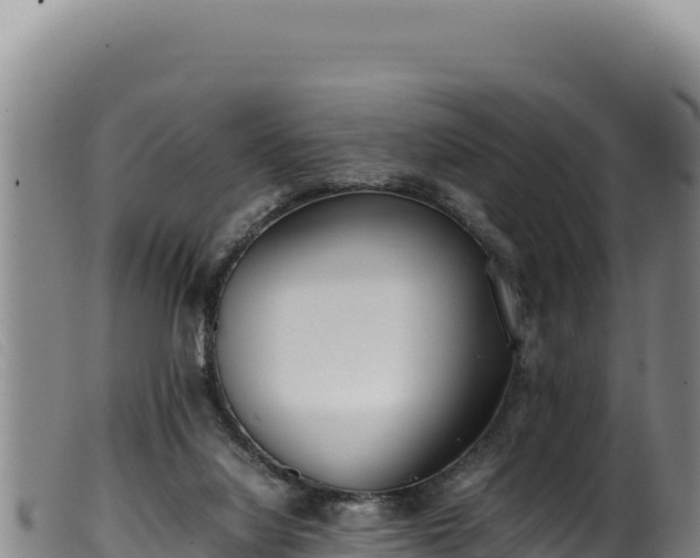 X0000099550068200805231201