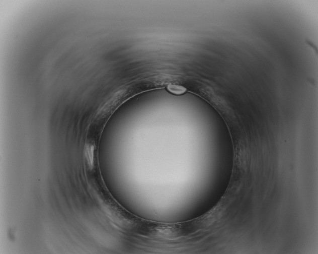 X0000099550070200805231201