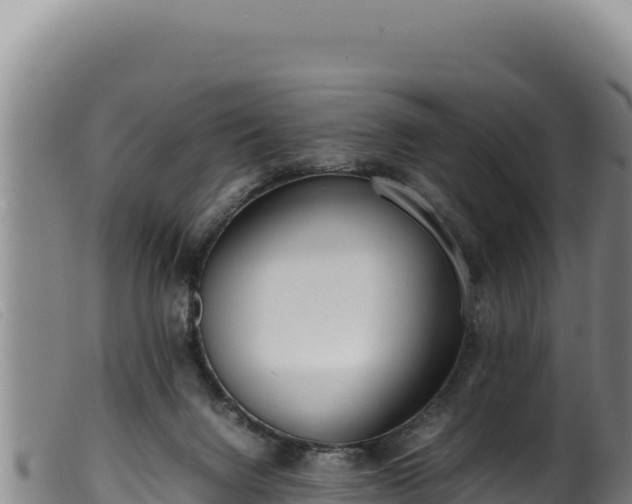 X0000099550072200805231201