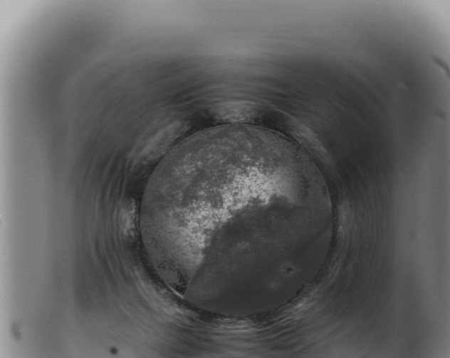 X0000099550073200805231201