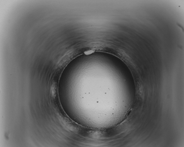 X0000099550074200805231201