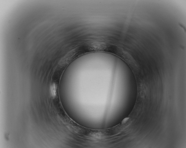 X0000099550075200805231201