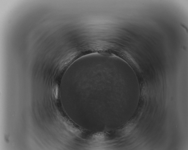 X0000099550076200805231201