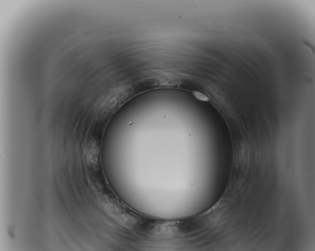 X0000099550078200805231201