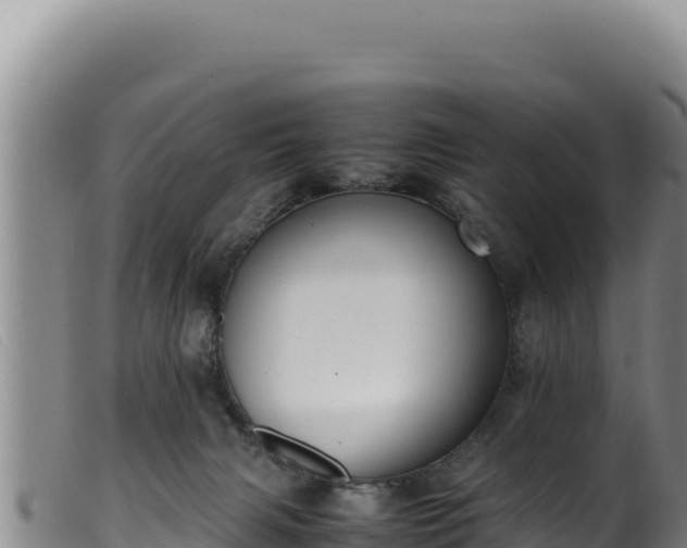 X0000099550079200805231201