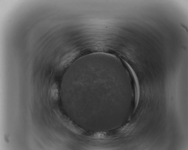 X0000099550080200805231201