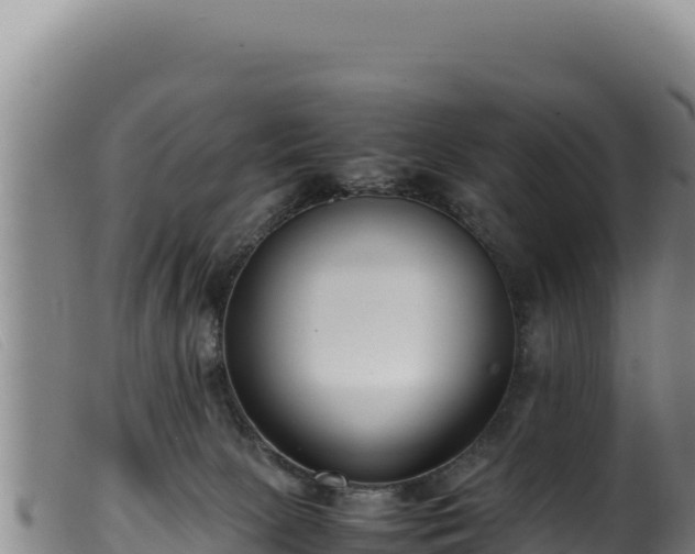 X0000099550081200805231201