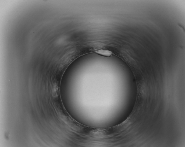 X0000099550082200805231201