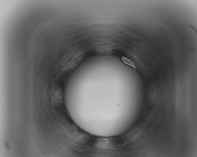 X0000099550083200805231201