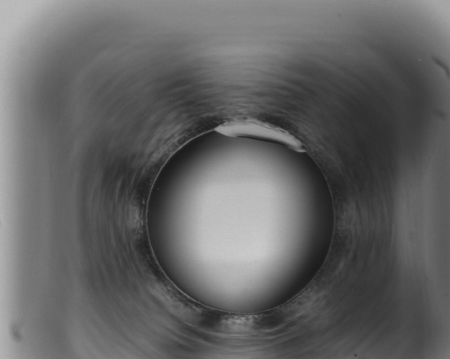 X0000099550084200805231201