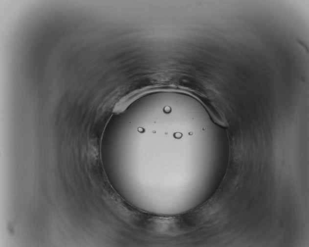 X0000099550085200805231201