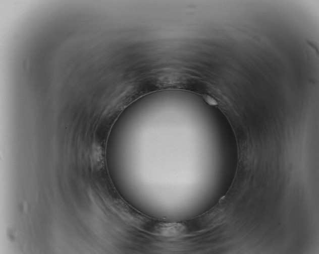 X0000099550087200805231201