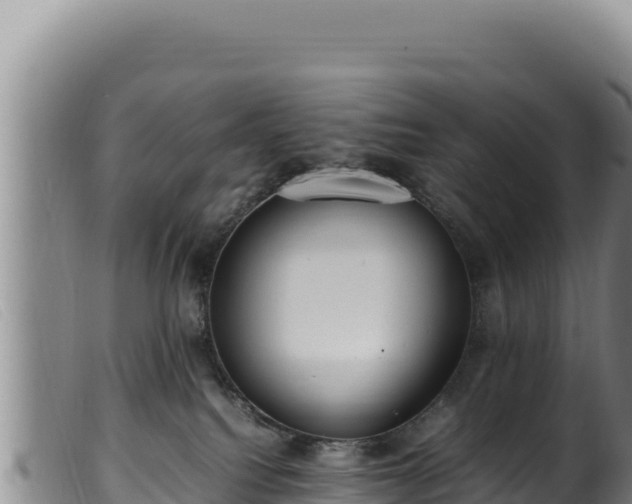 X0000099550088200805231201