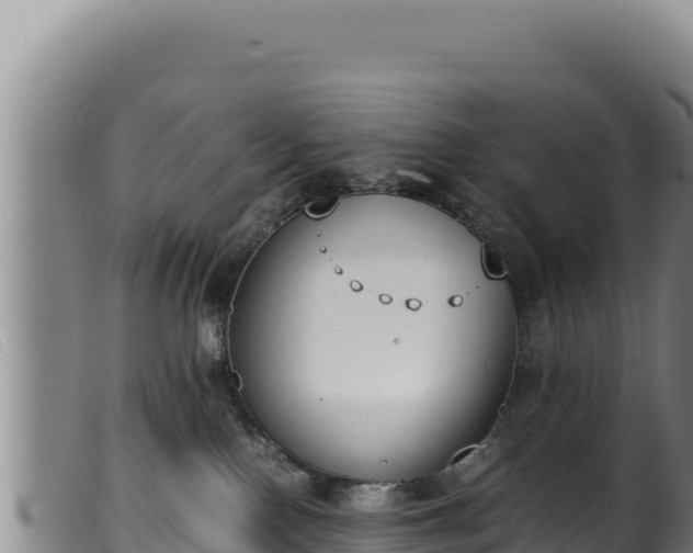 X0000099550090200805231201