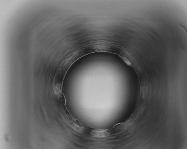 X0000099550093200805231201