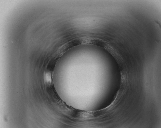 X0000099550094200805231202