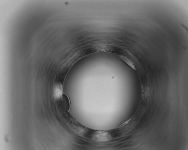 X0000099550095200805231202