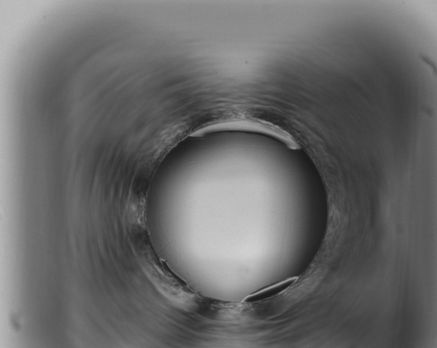 X0000099550096200805231202