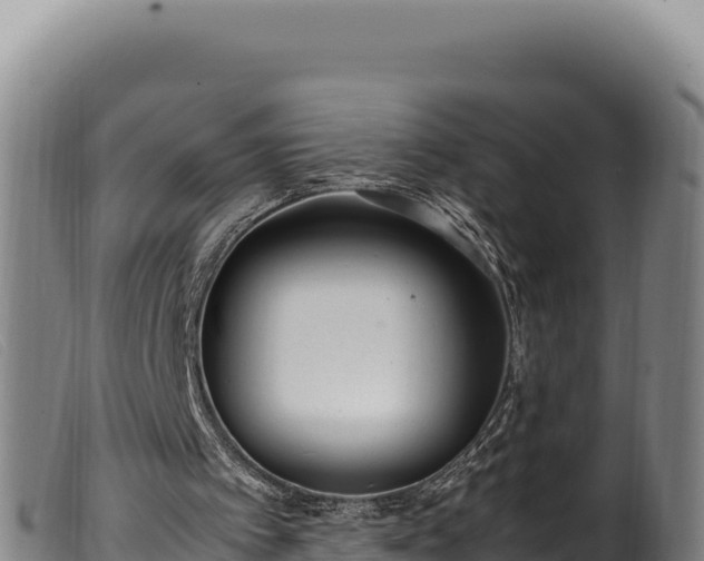 X0000099550097200805231201